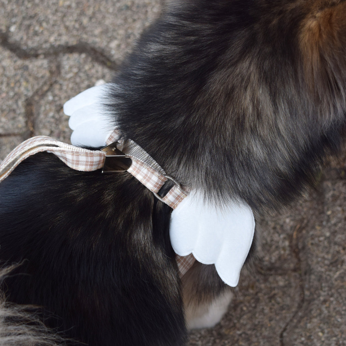 Engelsflügel-Hundegeschirr inkl. Leine