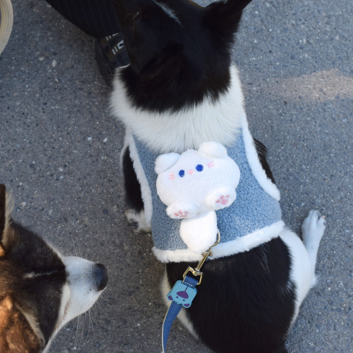 Plüsch-Hundegeschirr „Kuscheltier“ inkl. Leine