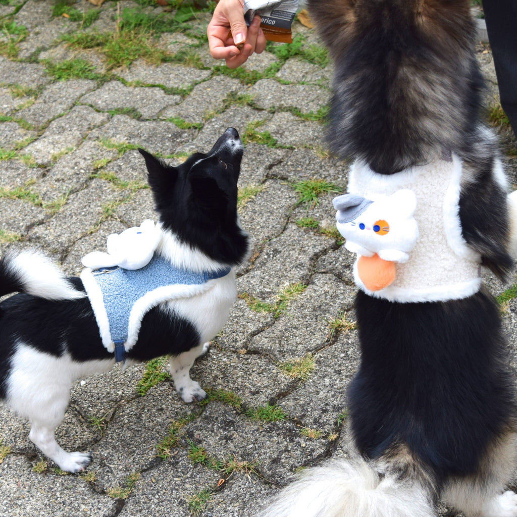 Plüsch-Hundegeschirr „Kuscheltier“ inkl. Leine