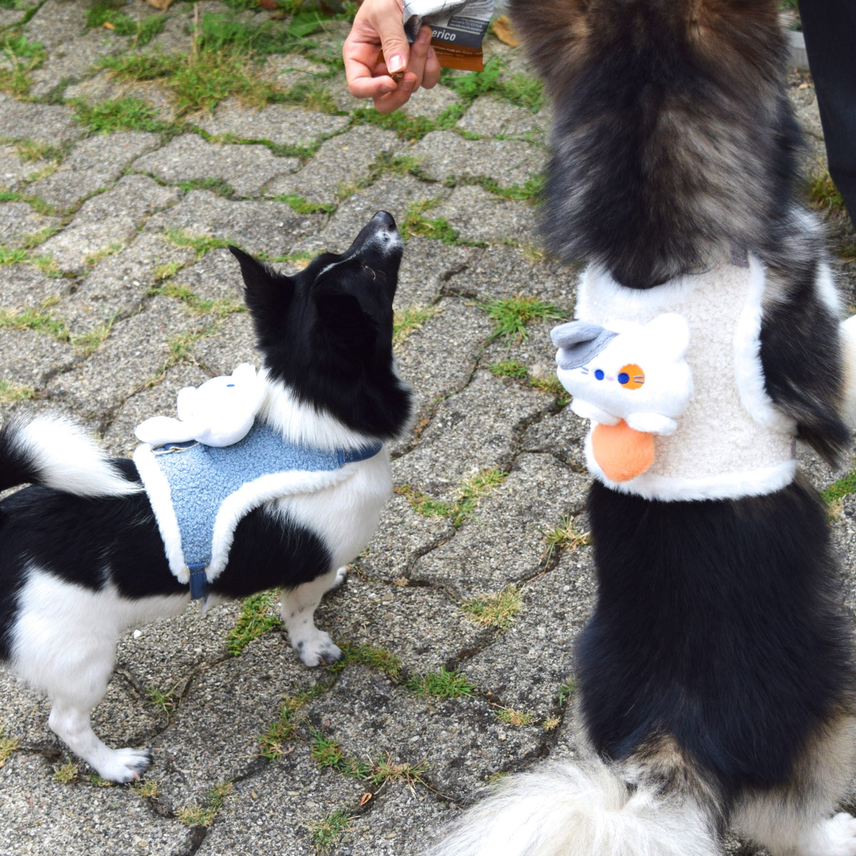Plüsch-Hundegeschirr „Kuscheltier“ inkl. Leine