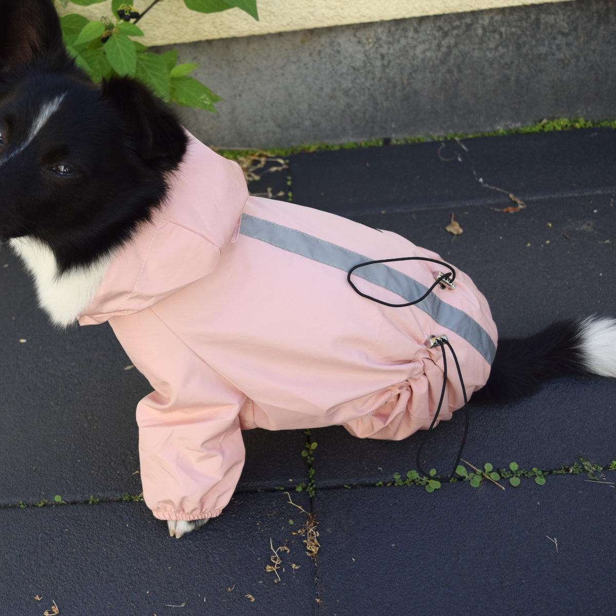 Wasserdichte Hunde-Regenjacke mit Kapuze