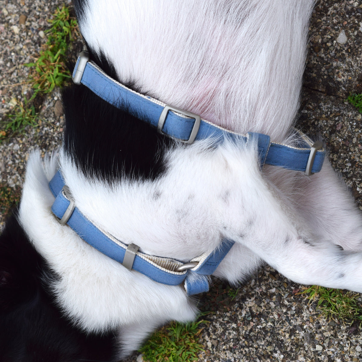 Hundegeschirr mit abnehmbarem Mini-Rucksack inkl. Leine