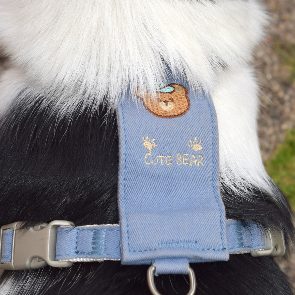 Hundegeschirr mit abnehmbarem Mini-Rucksack inkl. Leine