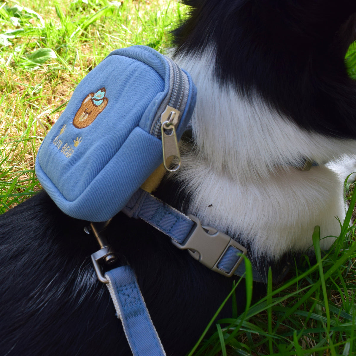 Hundegeschirr mit abnehmbarem Mini-Rucksack inkl. Leine