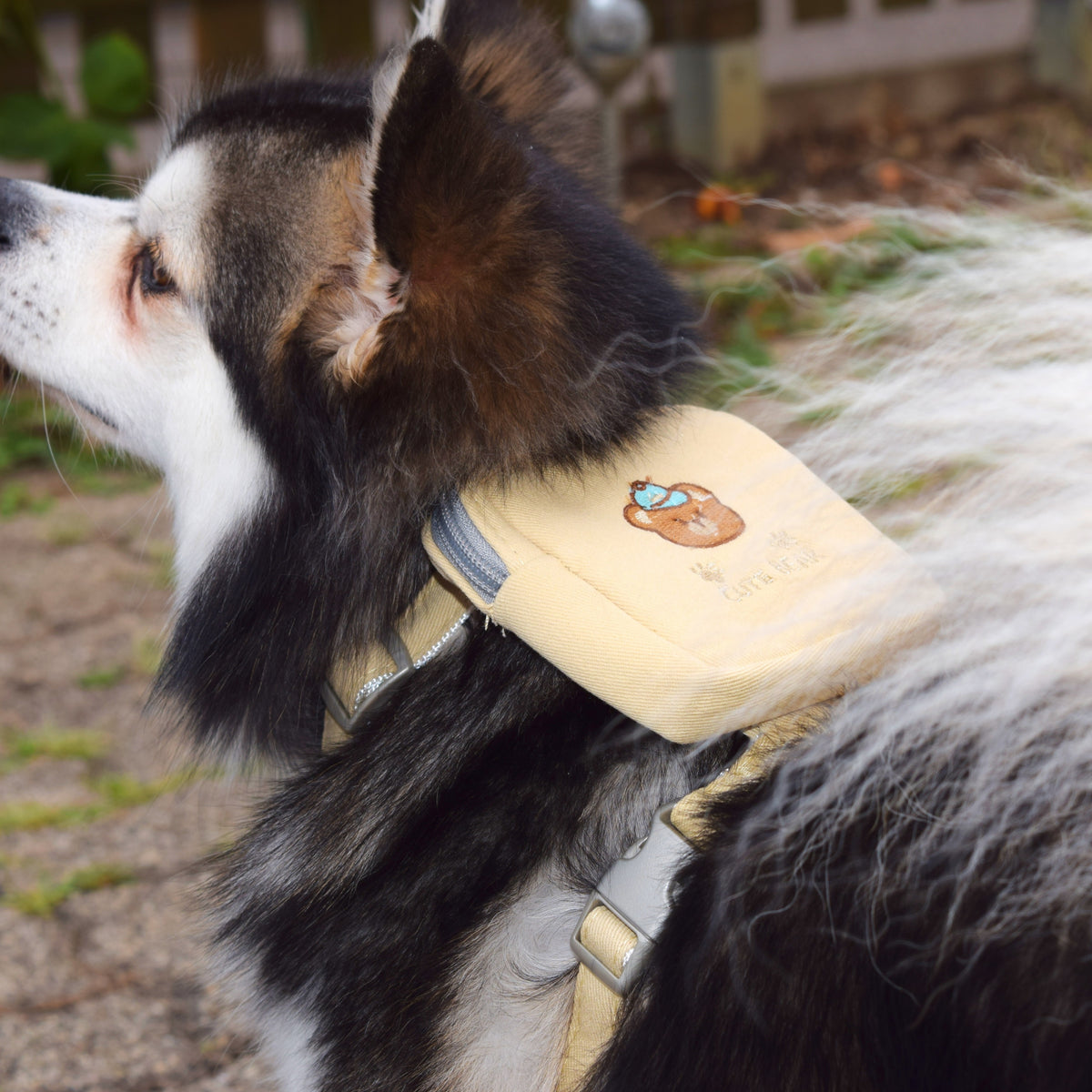 Hundegeschirr mit abnehmbarem Mini-Rucksack inkl. Leine